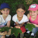 IMG_5214_JPG-1336925665