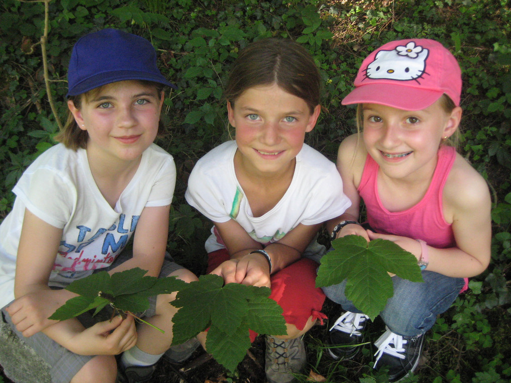 IMG_5214_JPG-1336925665