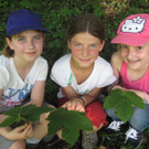 IMG_5215_JPG-1336925670