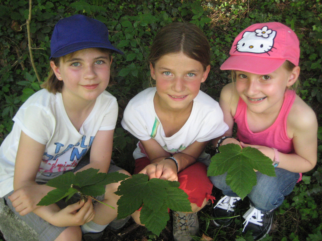 IMG_5215_JPG-1336925670