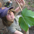 IMG_5223_JPG-1336925695