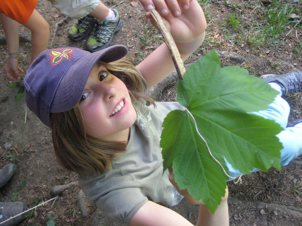 IMG_5223_JPG-1336925695