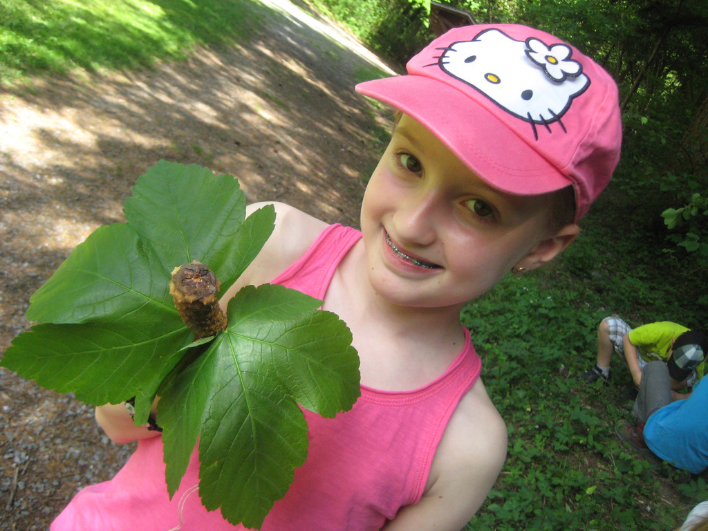 IMG_5231_JPG-1336925724