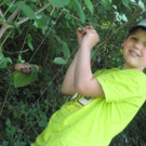 IMG_5235_JPG-1336925735