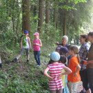 IMG_5239_JPG-1336925743