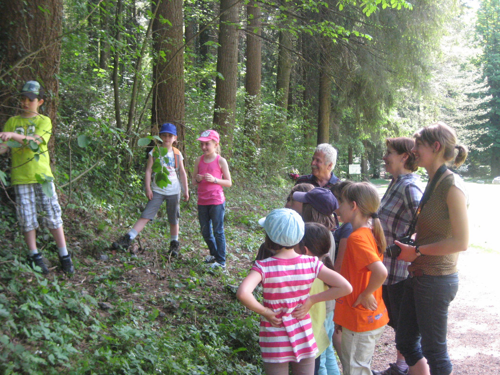 IMG_5239_JPG-1336925743