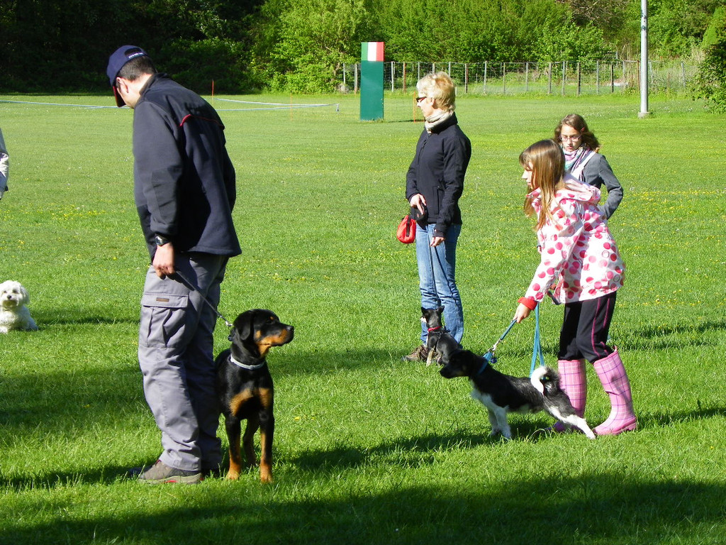 114_6273_JPG-1336948732