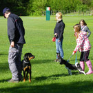   Frühjahrskurs Hundeerziehung