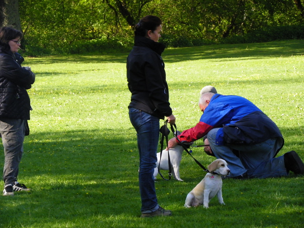 114_6280_JPG-1336948750