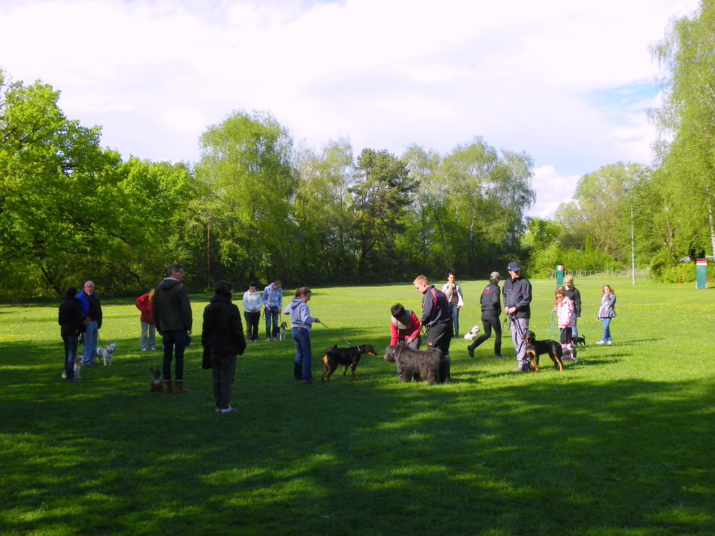 114_6275_JPG-1336948738