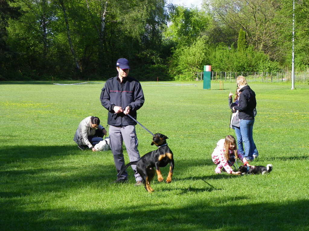 114_6277_JPG-1336948744