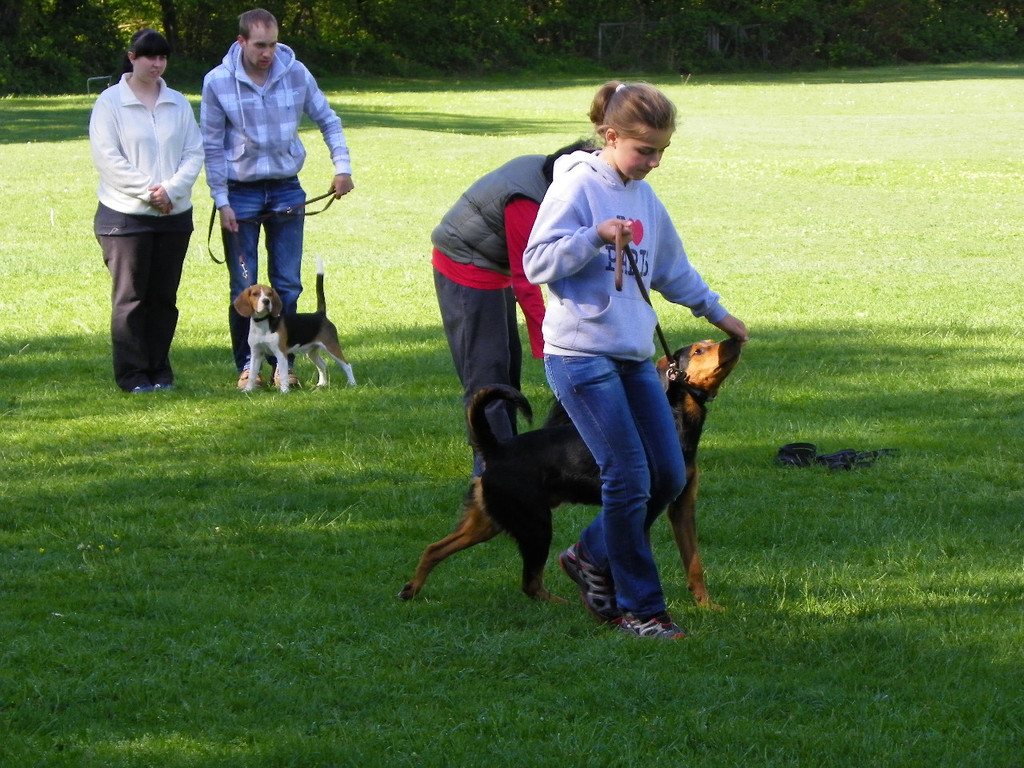 114_6288_JPG-1336948770