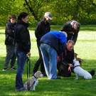 114_6290_JPG-1336948776