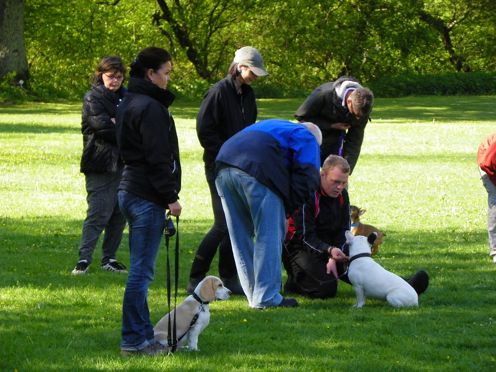 114_6290_JPG-1336948776