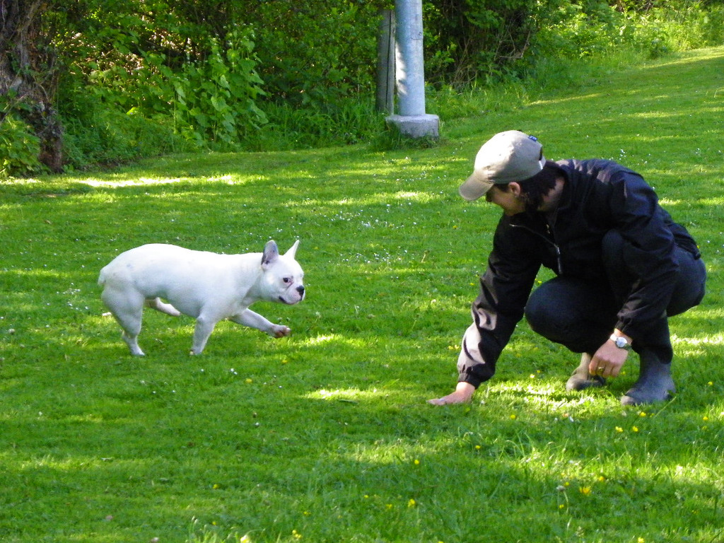 114_6291_JPG-1336948782