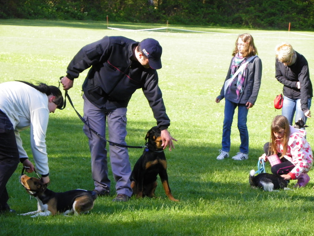 114_6293_JPG-1336948788