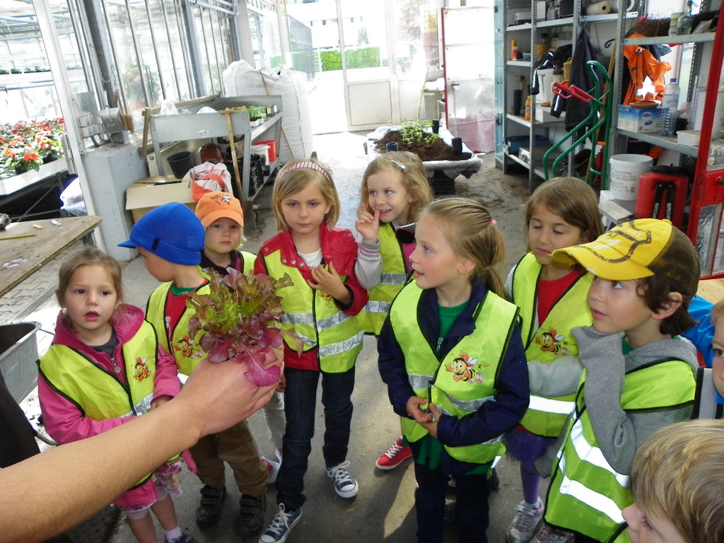 114_6882_JPG-1336949848