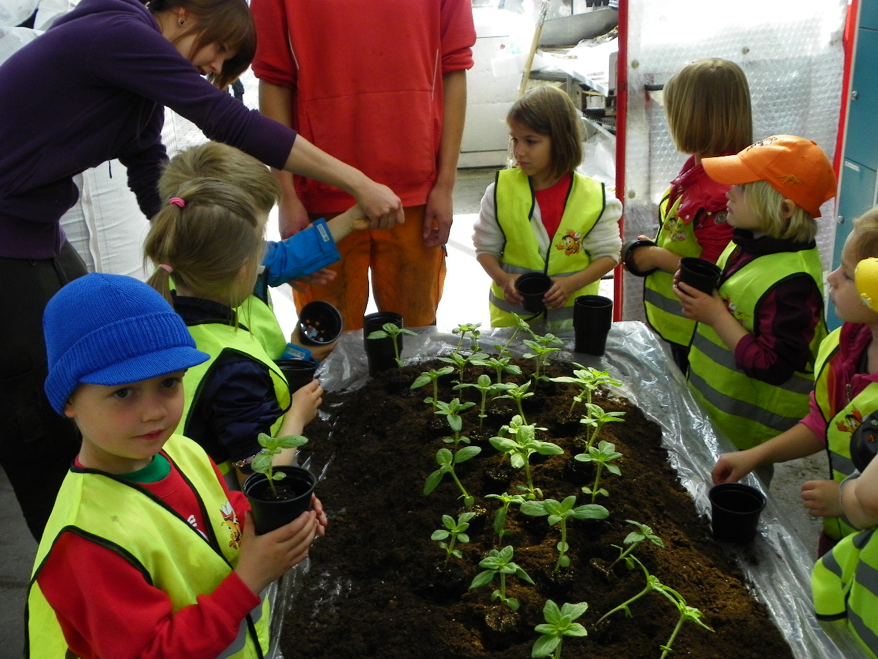 114_6908_JPG-1336949884