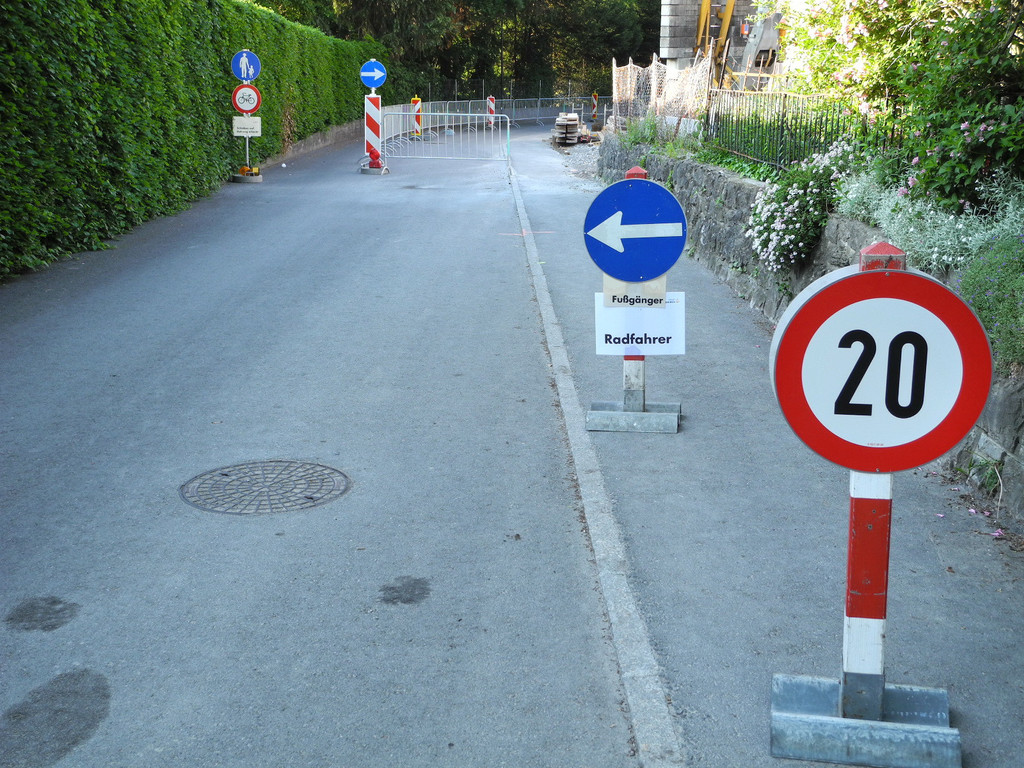 DSCN3983_JPG-1336986013