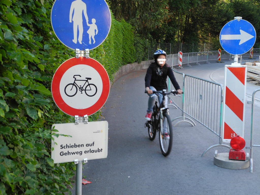 DSCN3986_JPG-1336986083