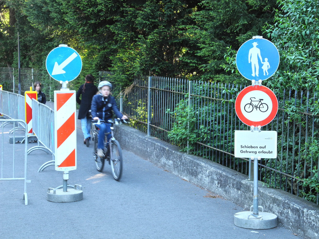 DSCN3991_JPG-1336986207