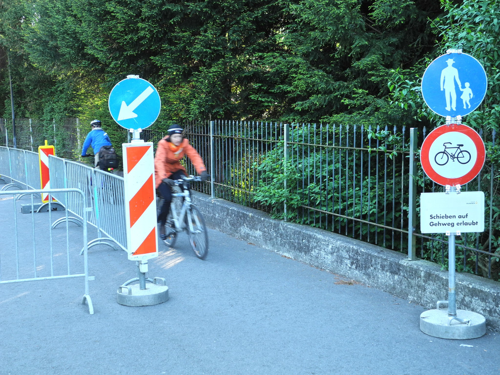 DSCN4002_JPG-1336986647