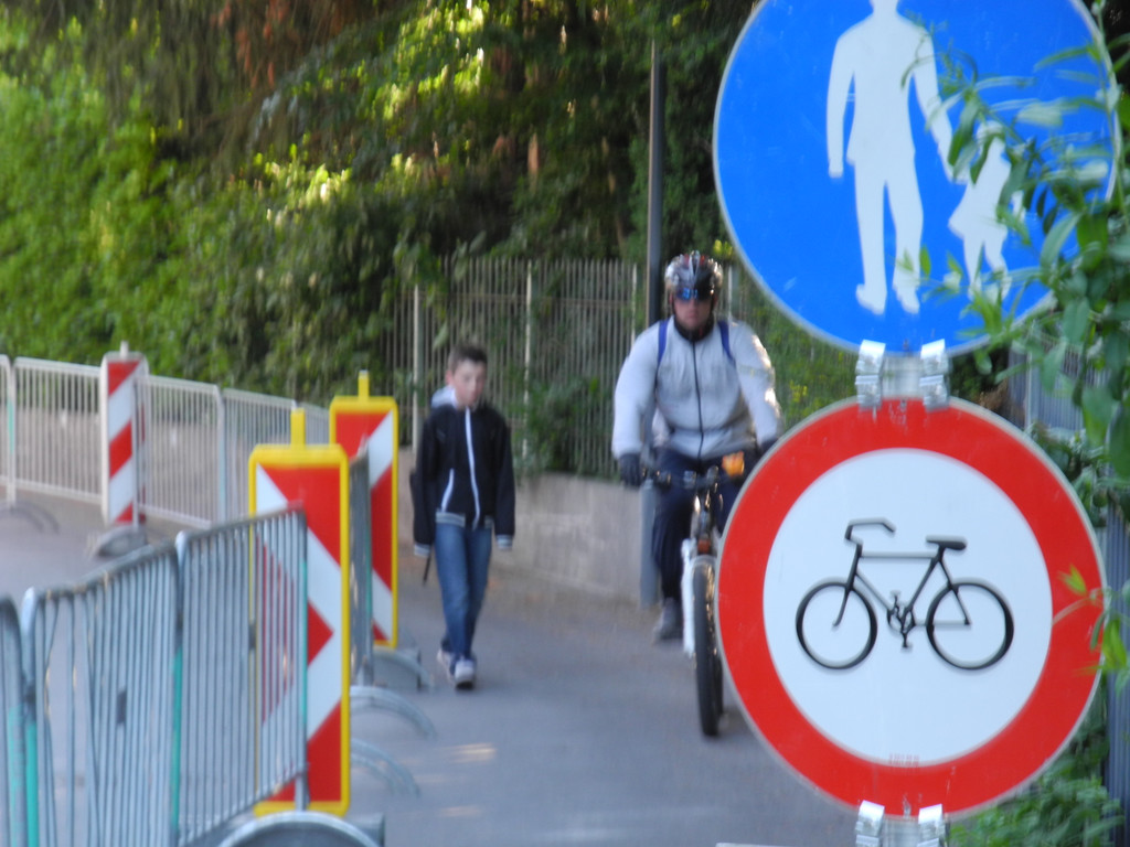 DSCN4010_JPG-1336986827