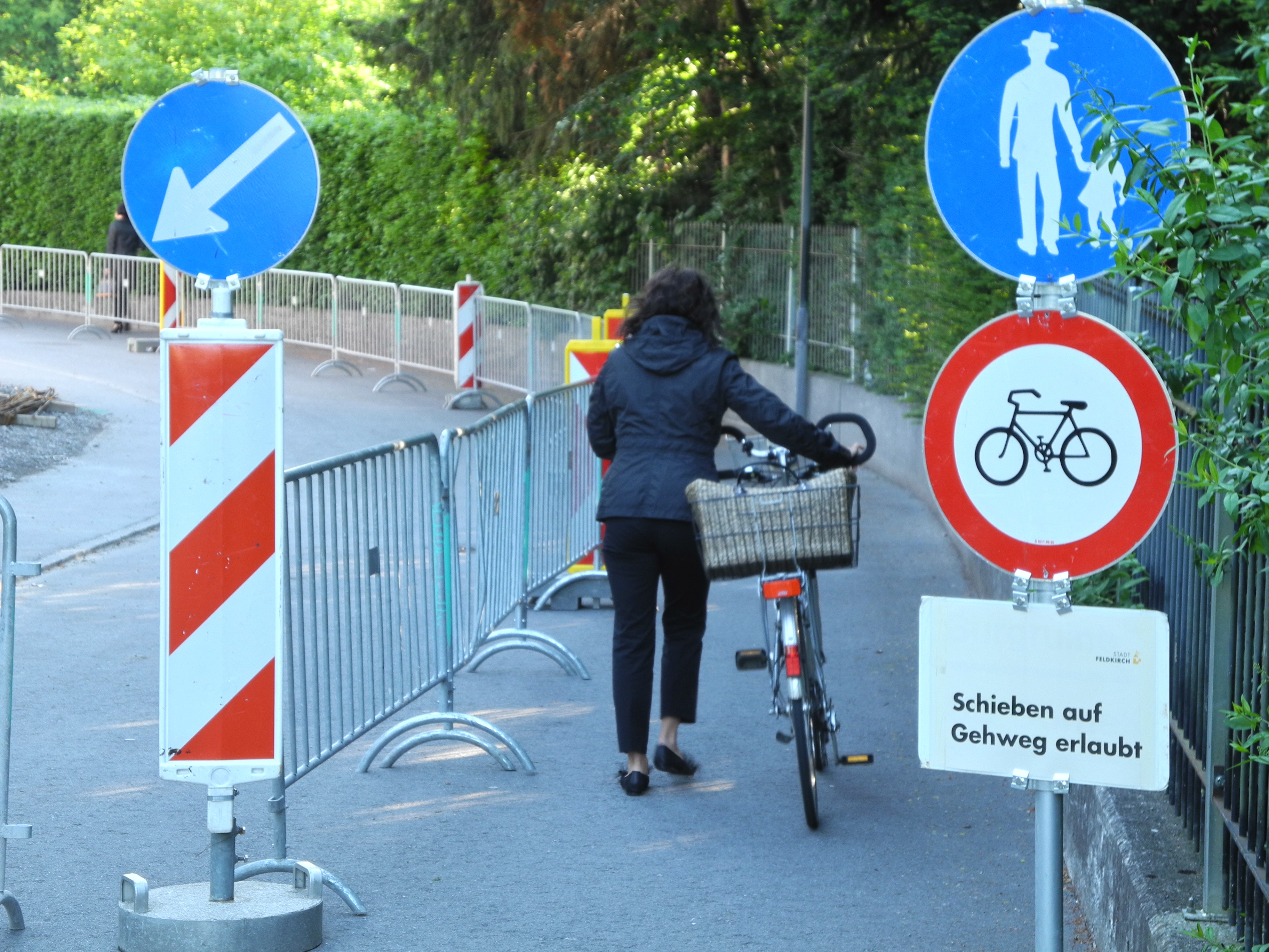 DSCN4018_JPG-1336986962