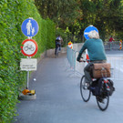 DSCN4024_JPG-1336987111