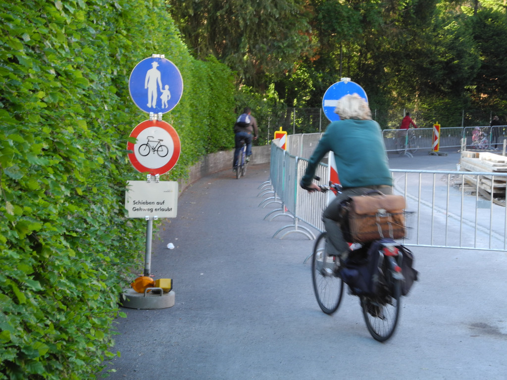 DSCN4024_JPG-1336987111