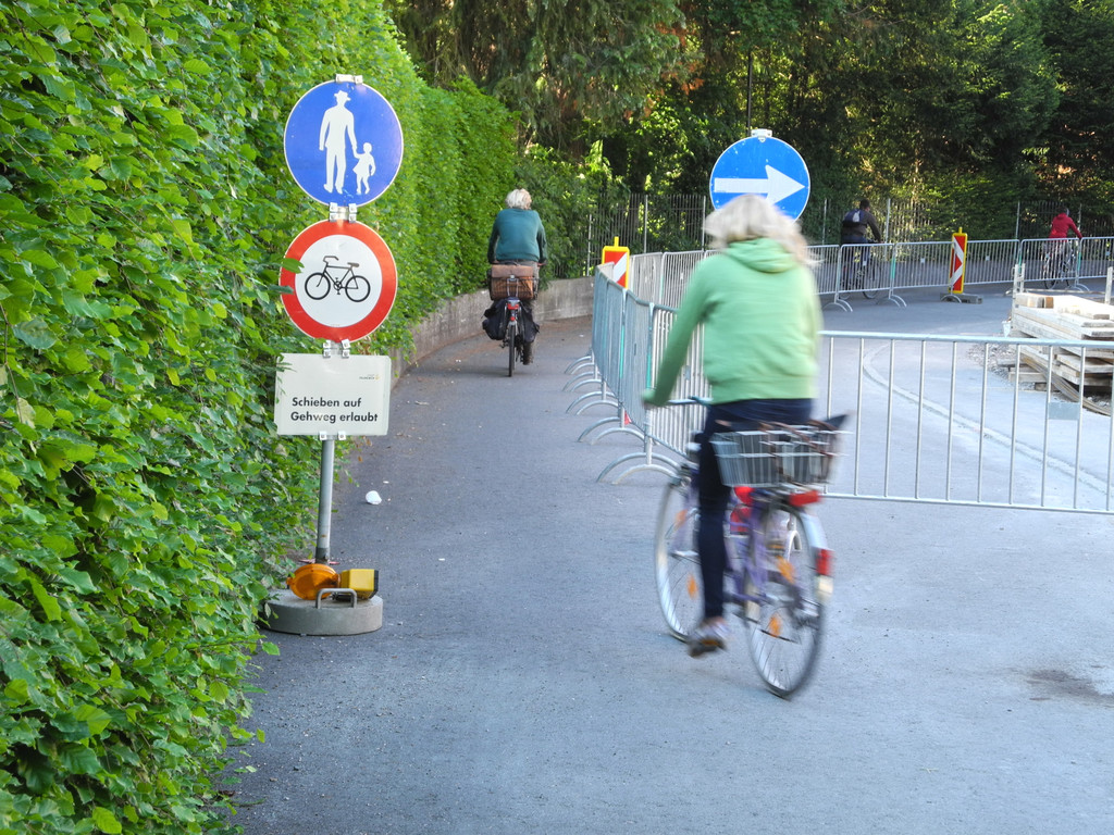 DSCN4028_JPG-1336987190