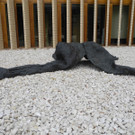 DSCN3948_JPG-1337002987