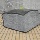 DSCN3949_JPG-1337003016