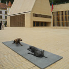 DSCN3953_JPG-1337003088