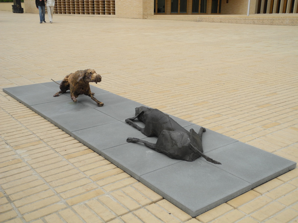 DSCN3954_JPG-1337003115