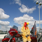 300 Vienna_Harley_Days_2012_5.jpg