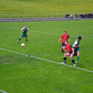 DSC_0239.JPG