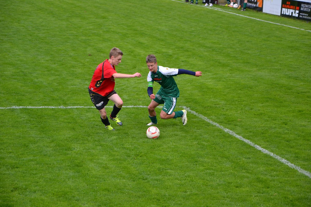 DSC_0243.JPG