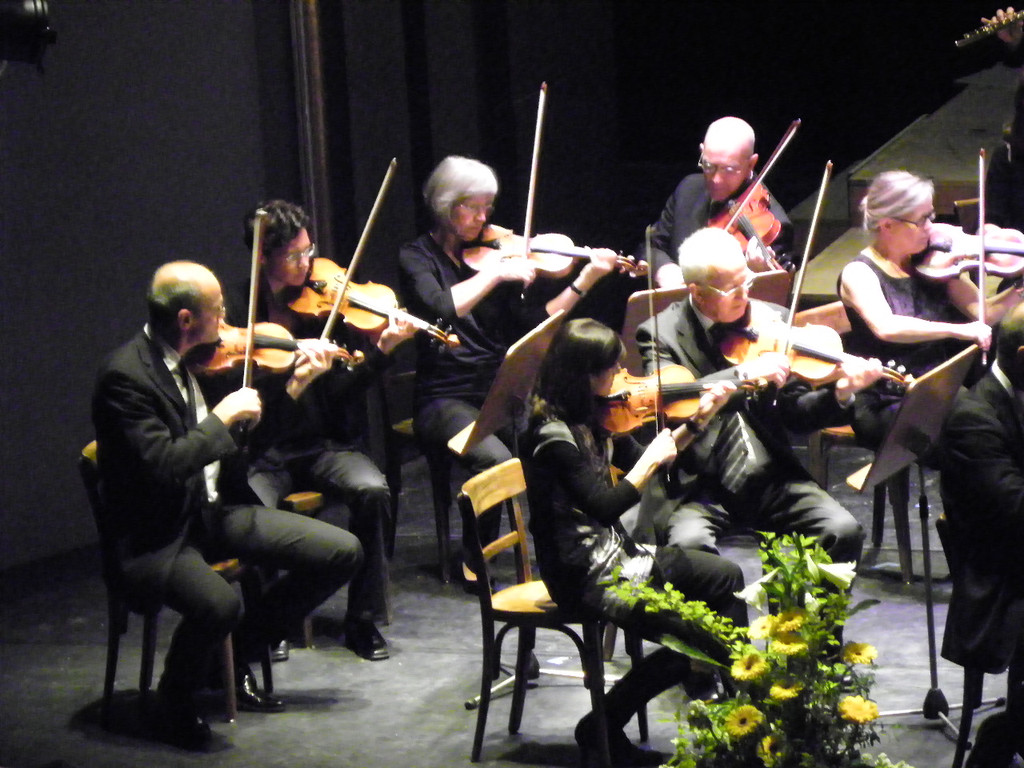 114_7167_JPG-1337033895