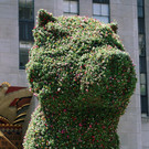 462400.jpg