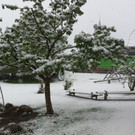 Schneebilder aus Hittisau