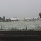Winter 003.JPG