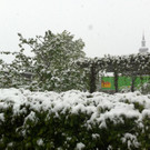Winter 008.JPG