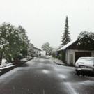 Winter 010.JPG