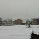 Winter 011.JPG