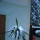 160512schneeat04003aktivnews007.JPG