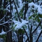 160512schneeat04003aktivnews004.JPG