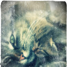 2012-04-10 18_55_57_Tony_Vignette_Old.jpg