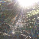 2012-05-01 16_24_24.jpg
