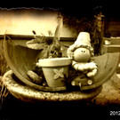 Foto11.JPG